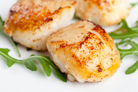 Scallops